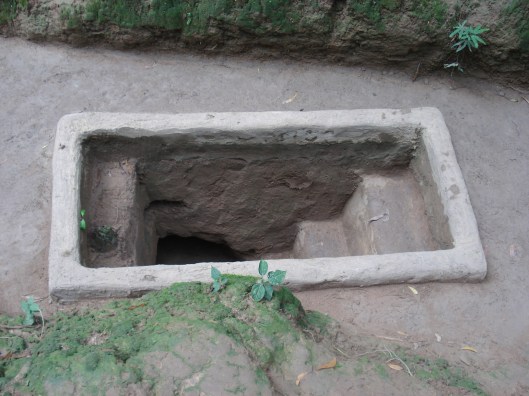 DSC00881