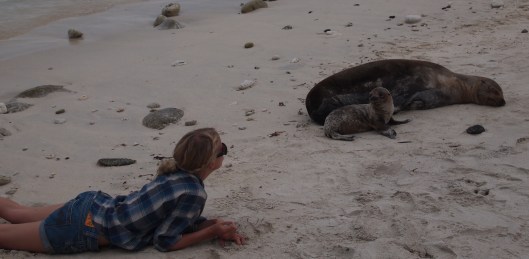 ma and sealions 3