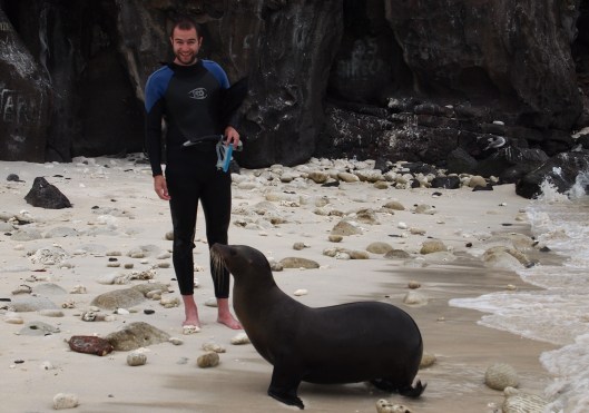 pads and sealion