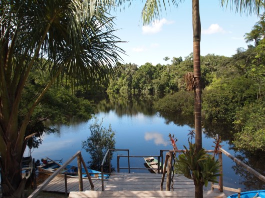 Tahuayo Lodge - Research Lodge, Amazon