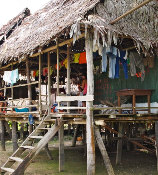 Chino Village, Amazon, Peru